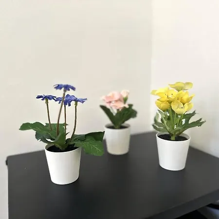 New Studio, 2mn Walk To Monaco Apartman